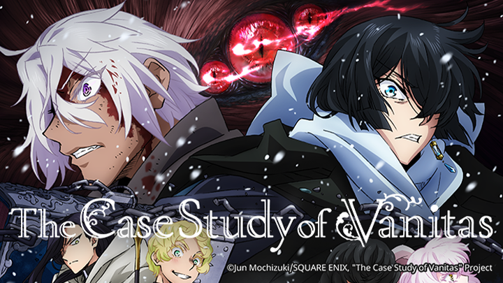The Case Study of Vanitas