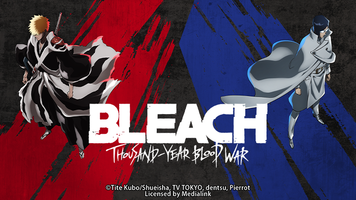 Bleach: Thousand-Year Blood War - The Separation