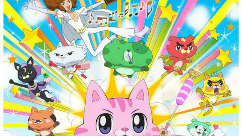 Leave it to you! Miracle Cats