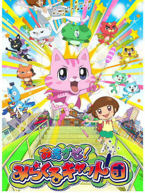 Leave it to you! Miracle Cats