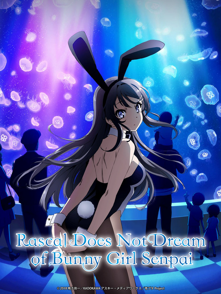 Rascal Does Not Dream of Bunny Girl Senpai