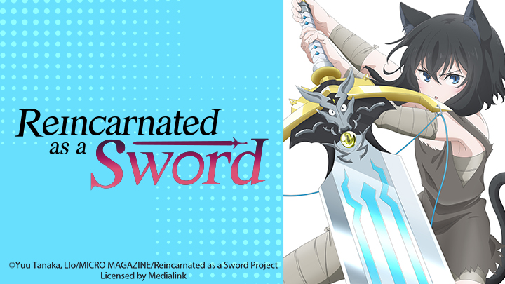 Reincarnated as a Sword