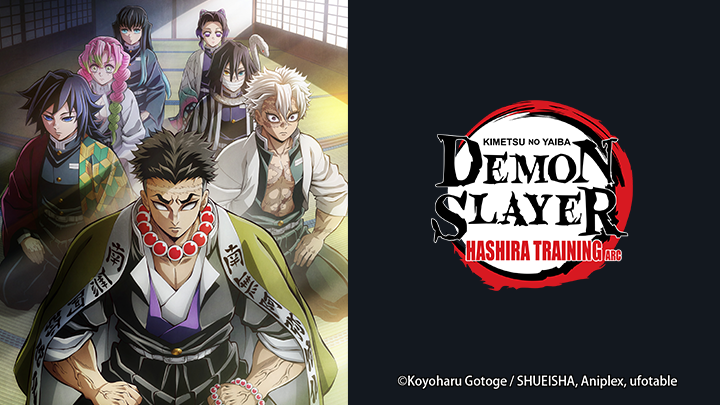 Demon Slayer: Kimetsu no Yaiba Hashira Training Arc